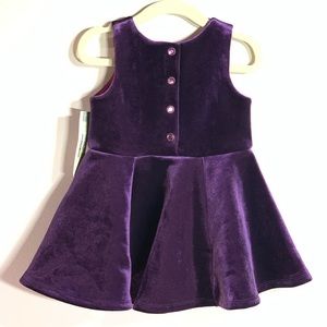 Velvet Plum Toddler Fall Winter Holiday Dress